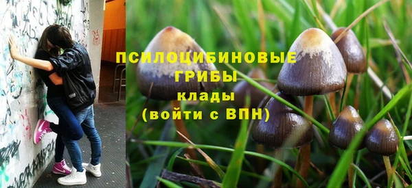 твердый Балахна