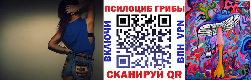 мориарти официальный сайт  сколько стоит  Пересвет  Галлюциногенные грибы Psilocybe 